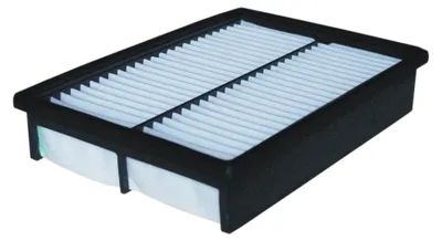 Zdjęcie produktu dla Filtr powietrza FILTRON AP 113/2