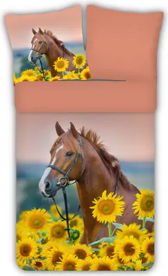 A bedding set featuring a horse and sunflowers.