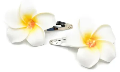 Produktbild von Frangipani Blumen Haarspangen Miniblings Haarklammer Hawaii Surfen Urlaub weiß