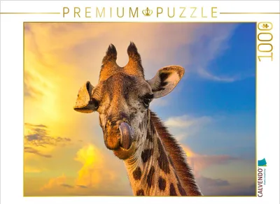 Produktbild von CALVENDO Puzzle Giraffenkopf | 1000 Teile Lege-Größe 64x48cm Foto-Puzzle für glückliche Stunden