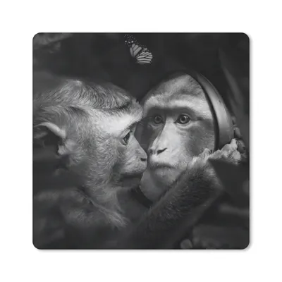 Produktbild von MuchoWow® Mauspad Mousepad Tiere - Affen - Natur - Schwarz - Weiß 30x30 cm - Mousepads - Maus Mat - Pad - Mausunterlage - Gaming