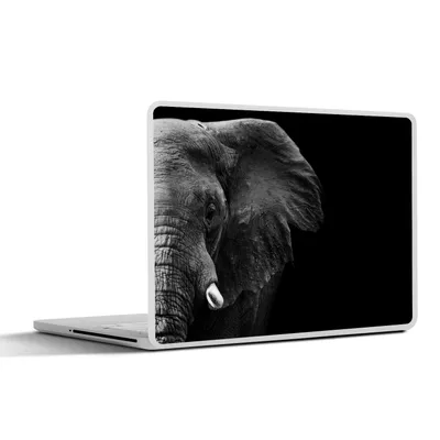 Produktbild von MuchoWow® Laptop Aufkleber Sticker Cover Tiere - Elefant - Wild - Schwarz - Weiß 30x21 cm - Sticker für Laptop - Selbstklebend