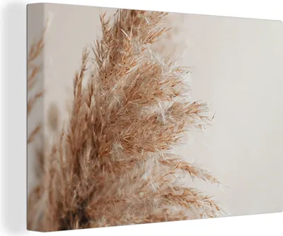 Produktbild von MuchoWow® - Leinwandbilder - Gras - Pflanzen - Natur - Pampasgras, Wandbild, Wanddeko Bilder Wohnzimmer, 120x80 cm