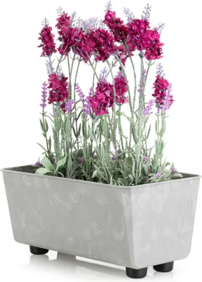 Produktbild von HowHomely | Pflanzkasten - Salvia - 28,5x17 cm - Grau Beton - Minimalistisches Design - Wetterfest