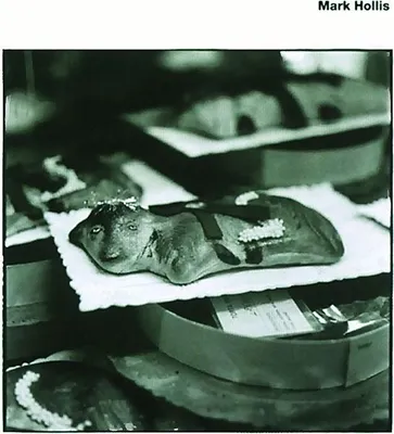 Productafbeelding van Mark Hollis