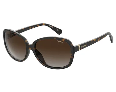 Image de Polaroid Sonnenbrille PLD 4098/S 086/LA