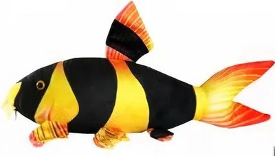 Productafbeelding van CeramicNature Clown Loach Plush