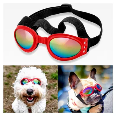 Produktbild von Hundebrille, Augenschutz, wasserdichte Sonnenbrille für Hunde über 6,8 kg, Rot