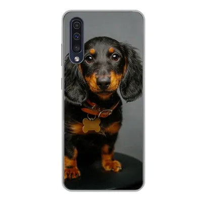 Produktbild von MuchoWow® Handyhülle Schutzhülle Hülle für Samsung Galaxy A50 Studiofoto eines Dackelwelpen Silikon Softcase Handy Hülle - Mobiltelefonhülle