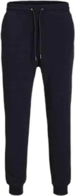 Productafbeelding van Jack & Jones herenbroek, casual, model 12249274, zwart