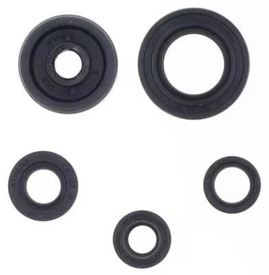 Immagine prodotto di Kit paraolio motore ATHENA P400485400164
