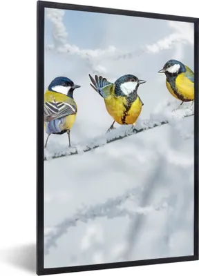 Produktbild von MuchoWow® Gerahmtes Poster Vogel - Kohlmeise - Winter - Schnee - Zweige 60x90 cm - Poster mit Schwarzem Bilderrahmen Wandposter Rahmen Foto Bilder - Kunst