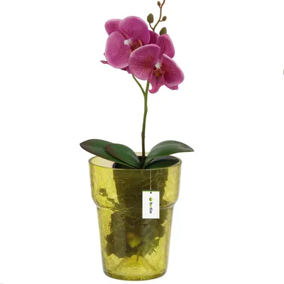 Image de Cache orchidée en verre D 15,5 cm H 18 cm toile d'araignée jaune Large