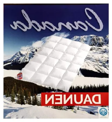 Produktbild von Ganzjahresdaunendecke aus feinen kanadischen Daunen und Federn Klasse 1 (135x200 cm)