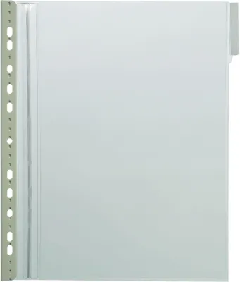 Image de DURABLE Plaques pochettes FUNCTION PANEL SAFE A4, Transparent, 583219