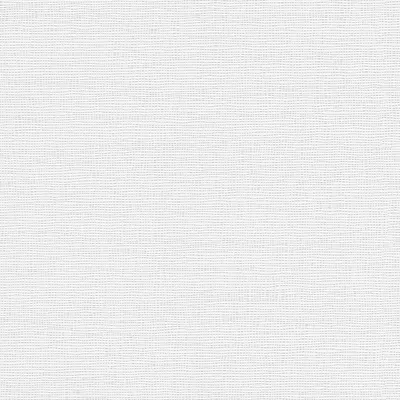 Produktbild von A.S. Création Vliestapete Meistervlies Pro Protect 2, weiss, überstreichbar, 10,05 m x 0,53 m, 182616, 1826-16