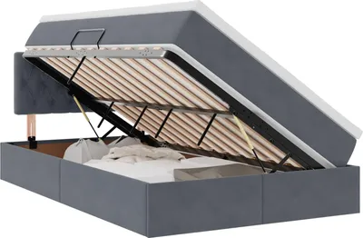 Image de Lit coffre à LED vidaXL avec matelas, gris foncé, 120 x 200 cm, velours