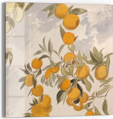 Produktbild von DEQORI Magnettafel Glas 30x30 cm 'Orangenpracht' beschreibbar Whiteboard Pinnwand Küche