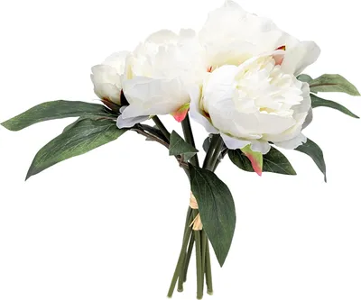 Immagine prodotto di 3.08 Bouquet di rose di Pentecoste - circa 30 cm - fiori artificiali color crema/bianco