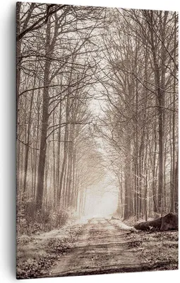 Produktbild von Bild auf Leinwand - Leinwandbild - Einteilig - Wald Straße Baum - 80x120cm - Wand Bild - Wanddeko - Wandbilder - Leinwanddruck - Wanddekoration - Leinwand bilder - Wandbild - PA80x120-3620