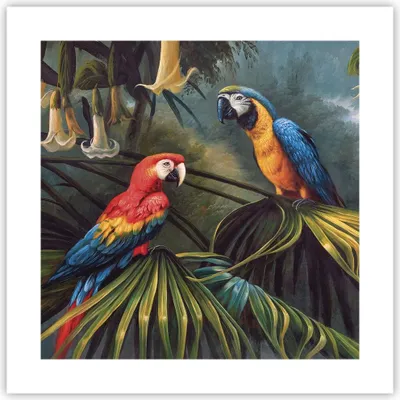 Produktbild von Poster - Poster ohne Rahmen - Ara Papageien Palmen - 40x40 cm - Wand Bild - Wanddeko - Wandbilder - Kunstposter - Wandposter - Bilder - Kunstdruck - Wanddekoration - Wandbild - P2XAC40x40-4780