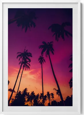 Produktbild von Palmen bei Sonnenuntergang– Wandbild mit Rahmen – Gerahmtes Bild  – Wanddekoration – 70x100 cm –  Weiß Rahmen
