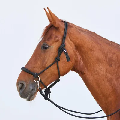 Produktbild von Kieffer Knotenhalfter Ruby - schwarz - G-Pony