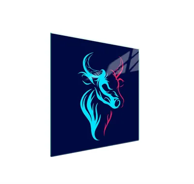 Produktbild von Glasschutzplatte Für Herd 50X52 Byk