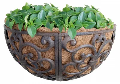 Image de Esschert Design Coupe murale en fonte ø30cm ; BPH27