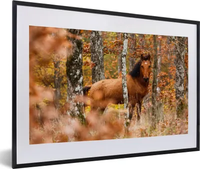 Produktbild von MuchoWow® MuchoWow® Gerahmtes Poster Pferd - Wald - Braun 60x40 cm - Poster mit zchwarzem Bilderrahmen - Schlafzimmer - Plakat in Rahmen - Drucken