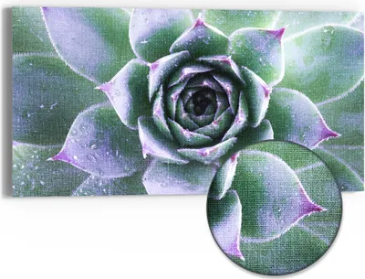 Produktbild von DEQORI Hybrid Leinwand Bild 60x30 cm 'Taufrische Symmetrie' Wandbild Glas flach modern