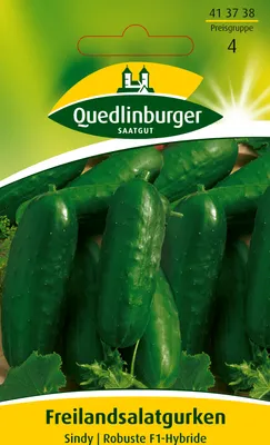 Produktbild von Freilandsalatgurke, Sindy F1