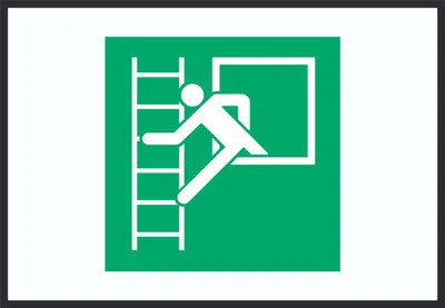 Produktbild von Notausstieg mit Fluchtleiter Symbol A0 Rückseite selbstklebend Schild