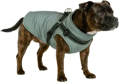 Immagine prodotto di Nobby Hundemantel "FULL REFLECT 2 in 1" in argento 40 cm