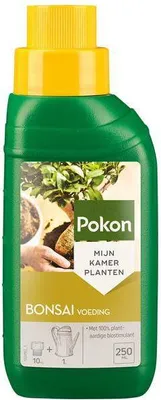 Zdjęcie produktu dla Nawozy do bonsai – rośliny doniczkowe – kup łatwe w pielęgnacji rośliny zielone do salonu, biura i jasnych miejsc