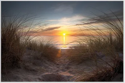 Produktbild von Wallario Wandbild Sonnenuntergang am Strand, Größe: 61 x 91,50 cm, Poster mit weißem Aluminiumrahmen