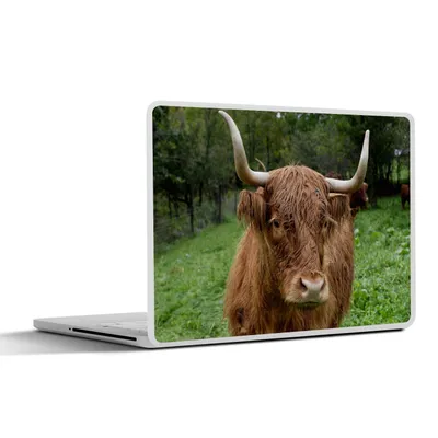 Produktbild von MuchoWow® Laptop Aufkleber Sticker Cover Schottische Highlander - Tiere - Gras 40x30 cm - Laptop Dekoration - Selbstklebend