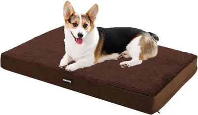 Immagine prodotto di Cuccia ortopedica per cani, spessore 9 cm, marrone, lavabile, antiscivolo