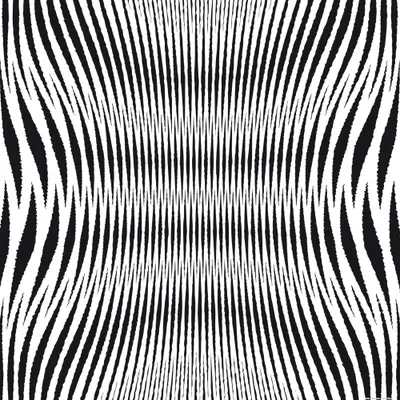 Obrázok produktu pre Optické ilúzie Art Print Picture - Geometrické vzory čierna biela (70 x 70 cm)