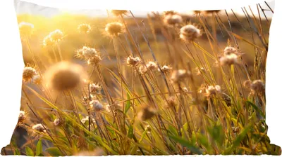 Produktbild von MuchoWow® Zierkissen Sofakissen Wohnzimmer Dekokissen 60x40 cm Pflanzen - Natur - Blumen - Sonne - Horizont - Kopfkissen - Polster mit Foto