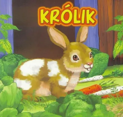 Immagine prodotto di Królik JAFI - Urszula Marcinek
