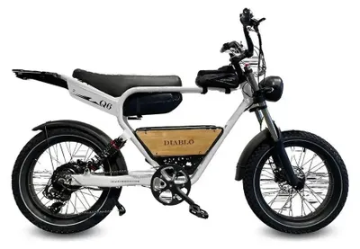 Image de Diablo Q6 - Fatbike électrique - 20 pouces - Moteur 250W - Autonomie 100 km - 7 vitesses - Freins à disque hydrauliques - Batterie 749Wh - Double suspension - Gris
