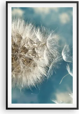 Produktbild von Gerahmtes Poster - Schwarzer Rahmen - Baby Sommer Pflanze - 61x91,5 cm - Wand Bild - Wanddeko - Wandbilder - Kunstposter - Wandposter - Bilderrahmen - Bilder - Kunstdruck - Wandbild - P2BPA61x91-3567