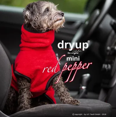 Produktbild von Dryup Cape Mini redpepper 40 cm