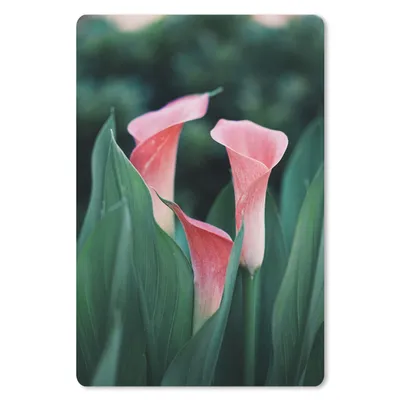 Produktbild von MuchoWow® Mauspad Mousepad Blumen - Blätter - Rosa 18x27 cm - Mousepads - Maus Mat - Pad - Mausunterlage