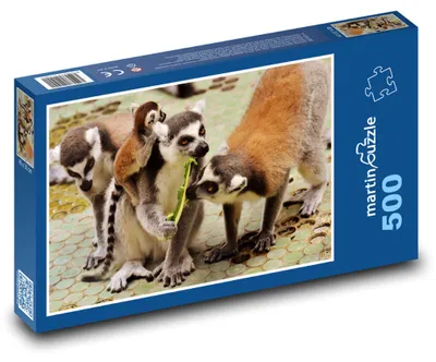Obrázok produktu pre martinpuzzle - Puzzle 500 - Lemur - opica, zoo