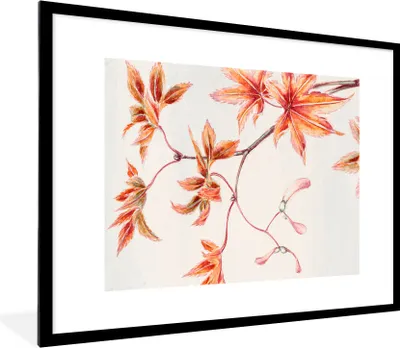 Produktbild von MuchoWow® Gerahmtes Poster Vintage - Japanischer Ahorn - Blätter 80x60 cm - Poster mit Schwarzem Bilderrahmen Wandposter Rahmen Foto Bilder - Schlafzimmer-Dekorationen - Fotoposter