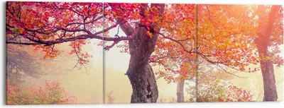Produktbild von Bild auf Leinwand - Leinwandbild - Baum Natur Wiese - 150x50cm - Wand Bild - Wanddeko - Wandbilder - Leinwanddruck - Bilder - Kunstdruck - Wanddekoration - Leinwand bilder - Wandkunst - CA150x50-3658