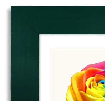 Produktbild von MG Design Bilderrahmen 40 x 50 cm - Posterrahmen mit Grün Holzrahmen (Echtholz) und bruchsicherem Acrylglas, Hoch & Quer mit stabiler Wandaufhängung