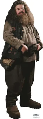 Produktbild von Rubeus Hagrid Karton Figur Harry Potter Film 195 CM